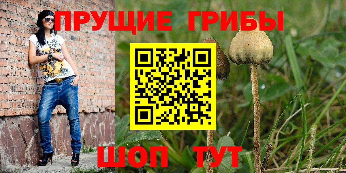 Галлюциногенные грибы Cubensis  Вход с VPN  Псилоцибиновые грибы мухоморы  купить наркоту  Ялуторовск 